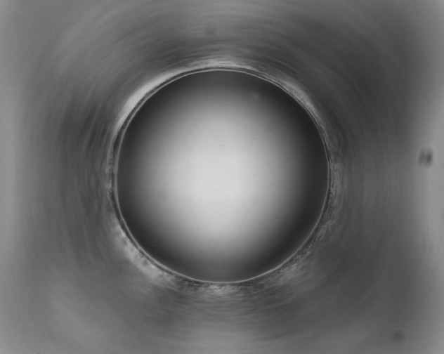 X0000111511148200907141329