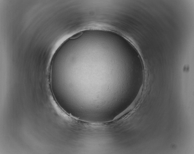 X0000111511152200907141329