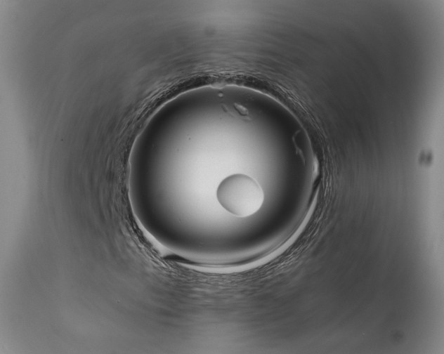 X0000111511153200907141329
