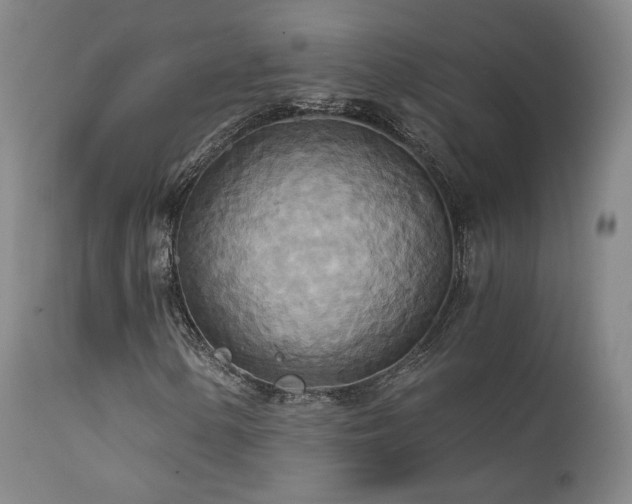 X0000111511154200907141329