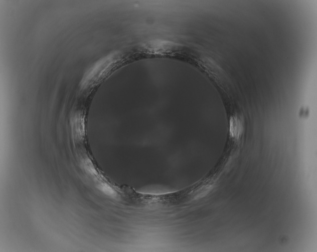 X0000111511155200907141329