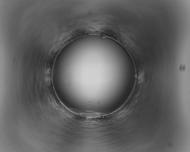 X0000111511156200907141329