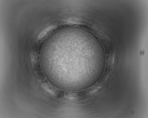 X0000111511157200907141329