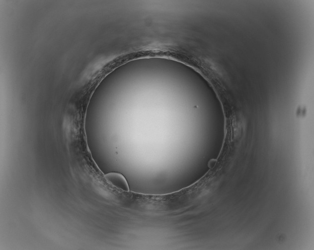 X0000111511158200907141329
