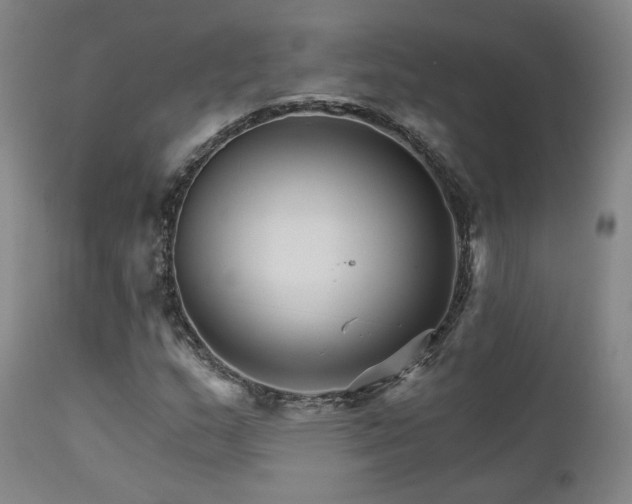 X0000111511159200907141329