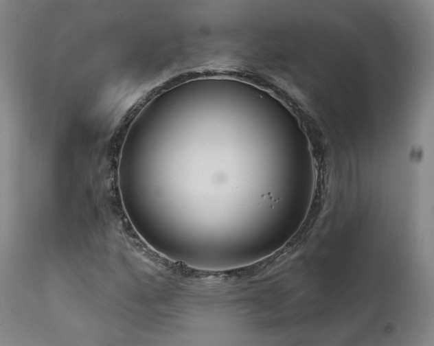 X0000111511160200907141329
