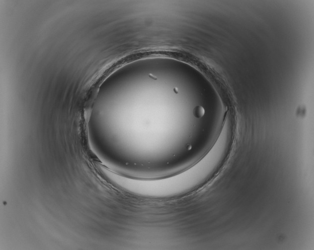 X0000111511161200907141329