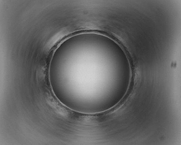 X0000111511163200907141329