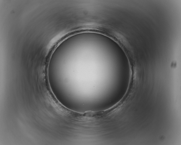 X0000111511164200907141329