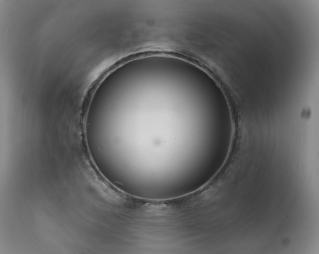 X0000111511168200907141329