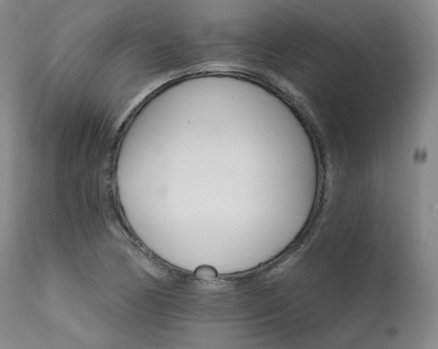 X0000111511170200907141329