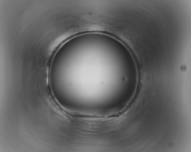 X0000111511171200907141329
