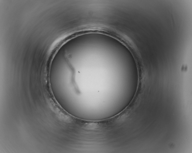 X0000111511172200907141329
