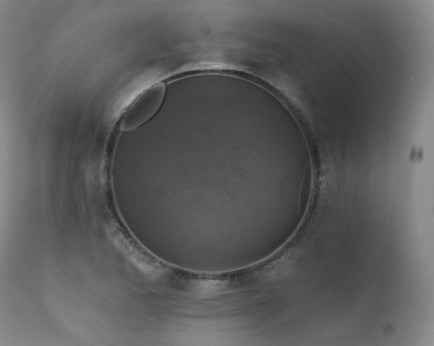 X0000111511173200907141329