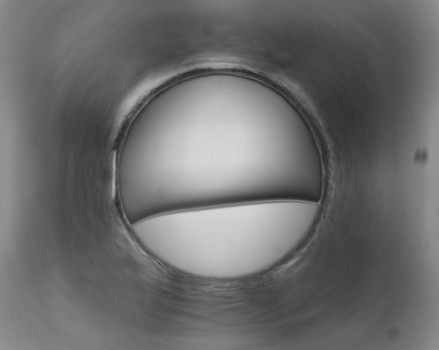 X0000111511175200907141328