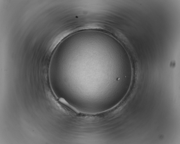 X0000111511177200907141328