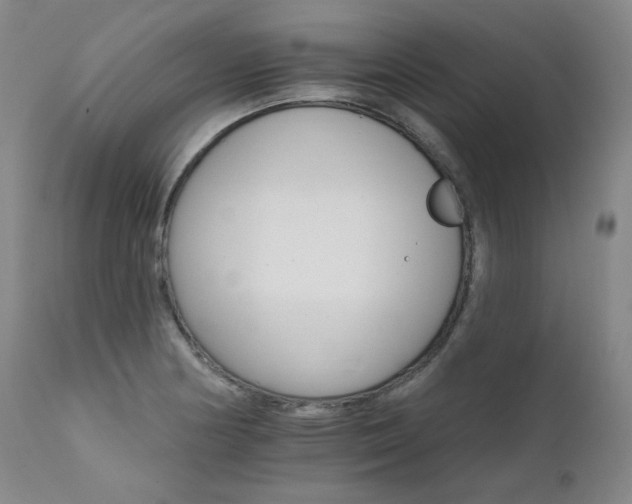 X0000111511178200907141328