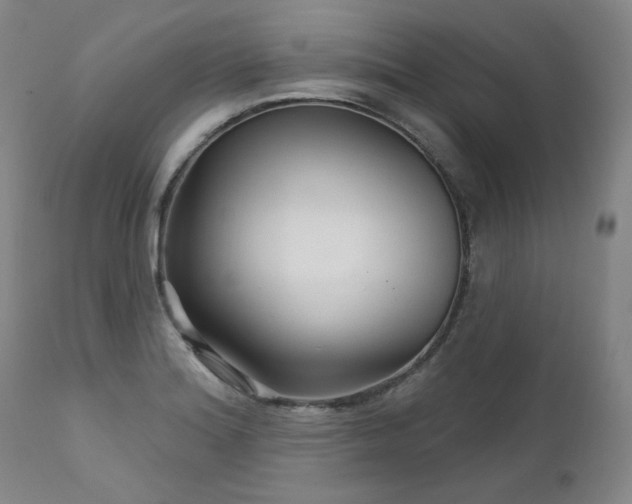 X0000111511180200907141328