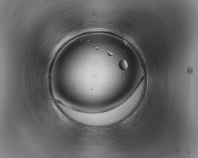 X0000111511181200907141328