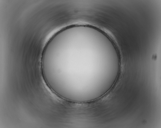 X0000111511183200907141328