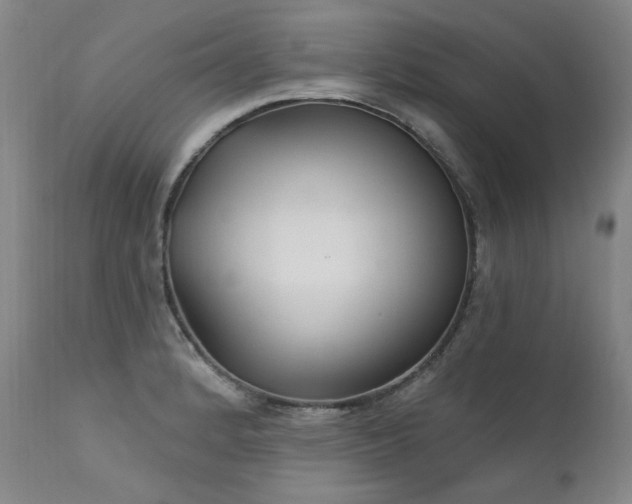 X0000111511184200907141328