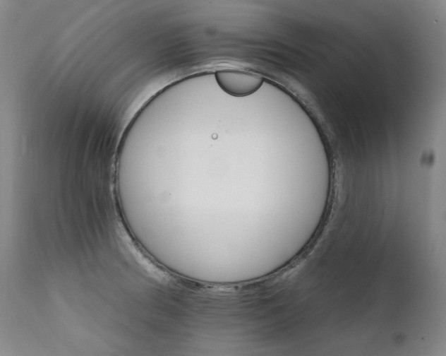 X0000111511186200907141328