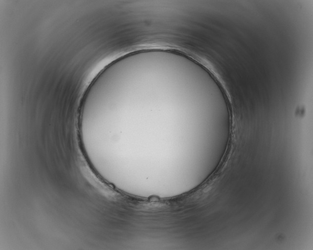 X0000111511187200907141328
