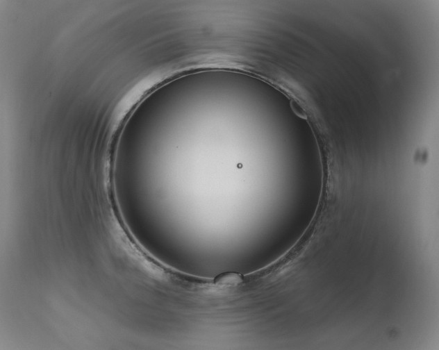 X0000111511188200907141328
