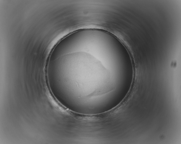 X0000111511189200907141328