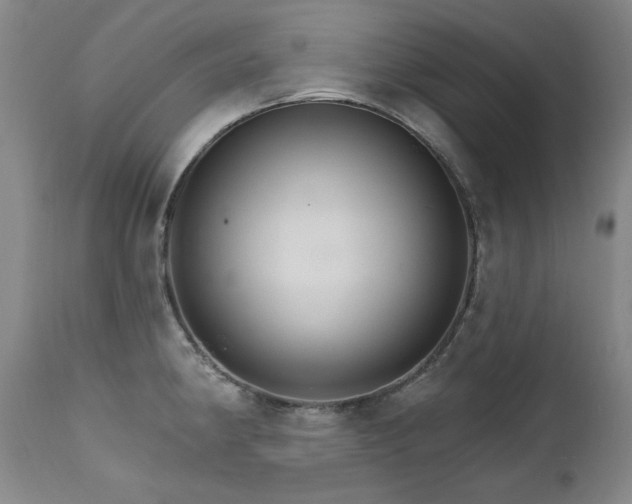 X0000111511190200907141328