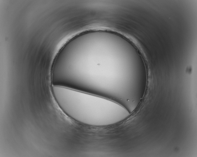 X0000111511191200907141328