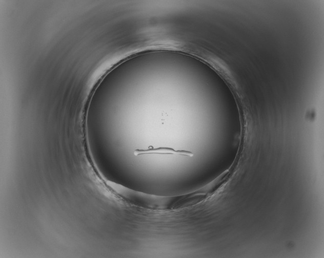 X0000111511192200907141328