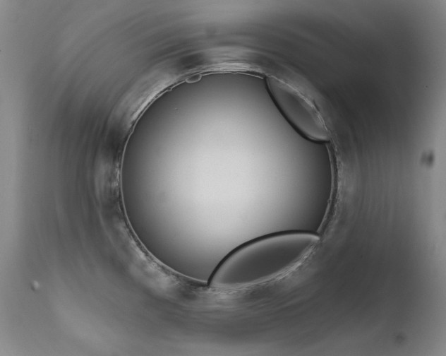 X0000111511193200907141328