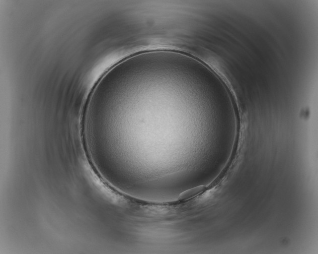 X0000111511197200907141328