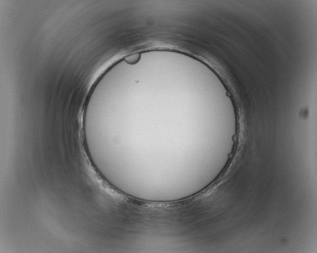 X0000111511198200907141328