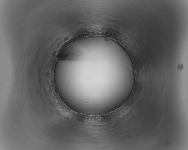 X0000111511201200907141327