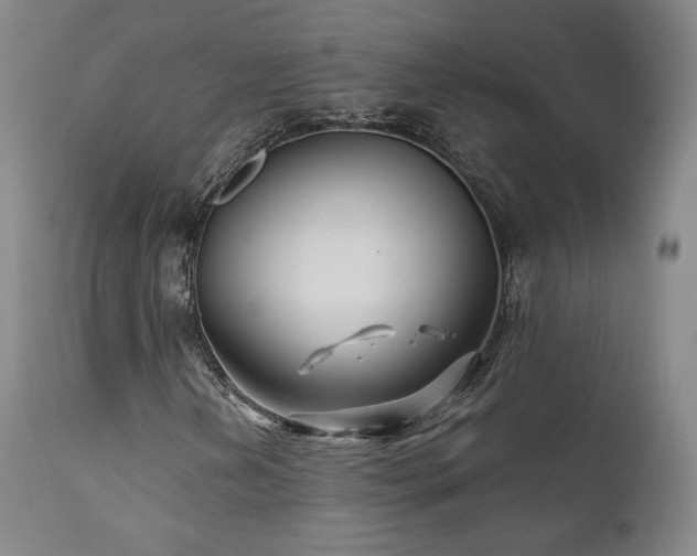X0000111511202200907141327
