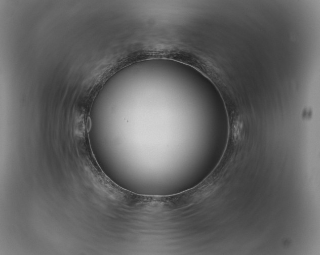 X0000111511204200907141327