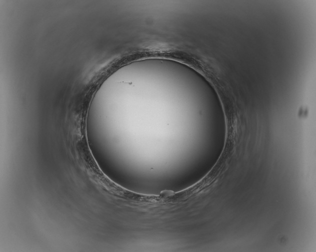 X0000111511205200907141327