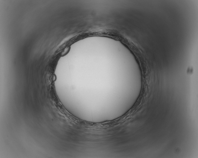 X0000111511206200907141327