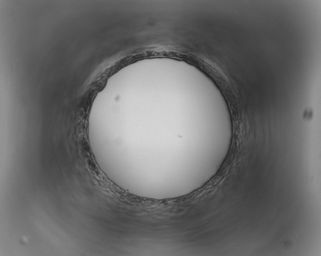 X0000111511207200907141327