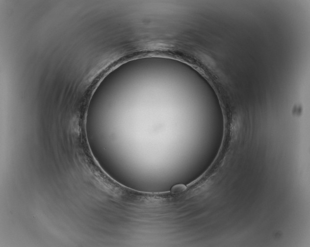 X0000111511209200907141327