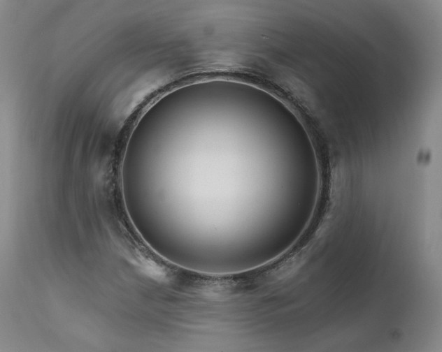 X0000111511210200907141327