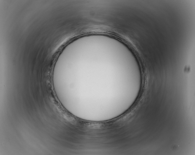 X0000111511211200907141327