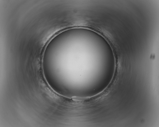 X0000111511212200907141327