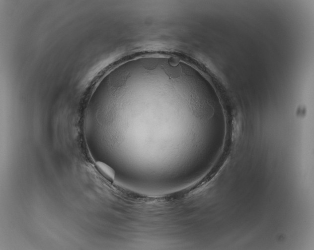 X0000111511213200907141327