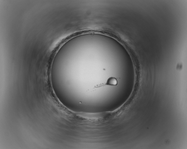 X0000111511214200907141327