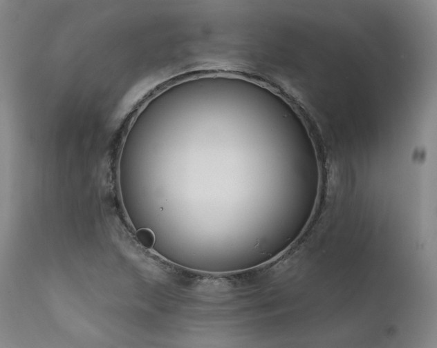 X0000111511215200907141328