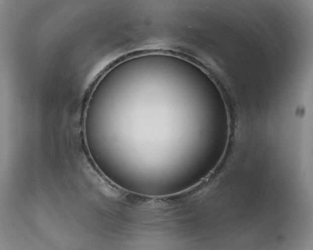 X0000111511216200907141328