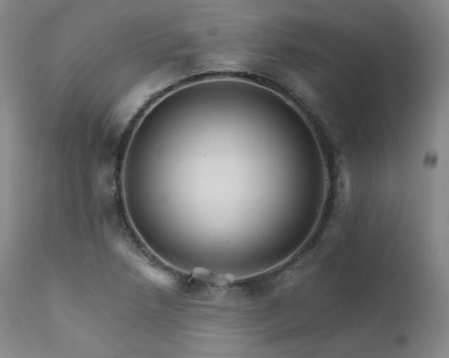 X0000111511218200907141328